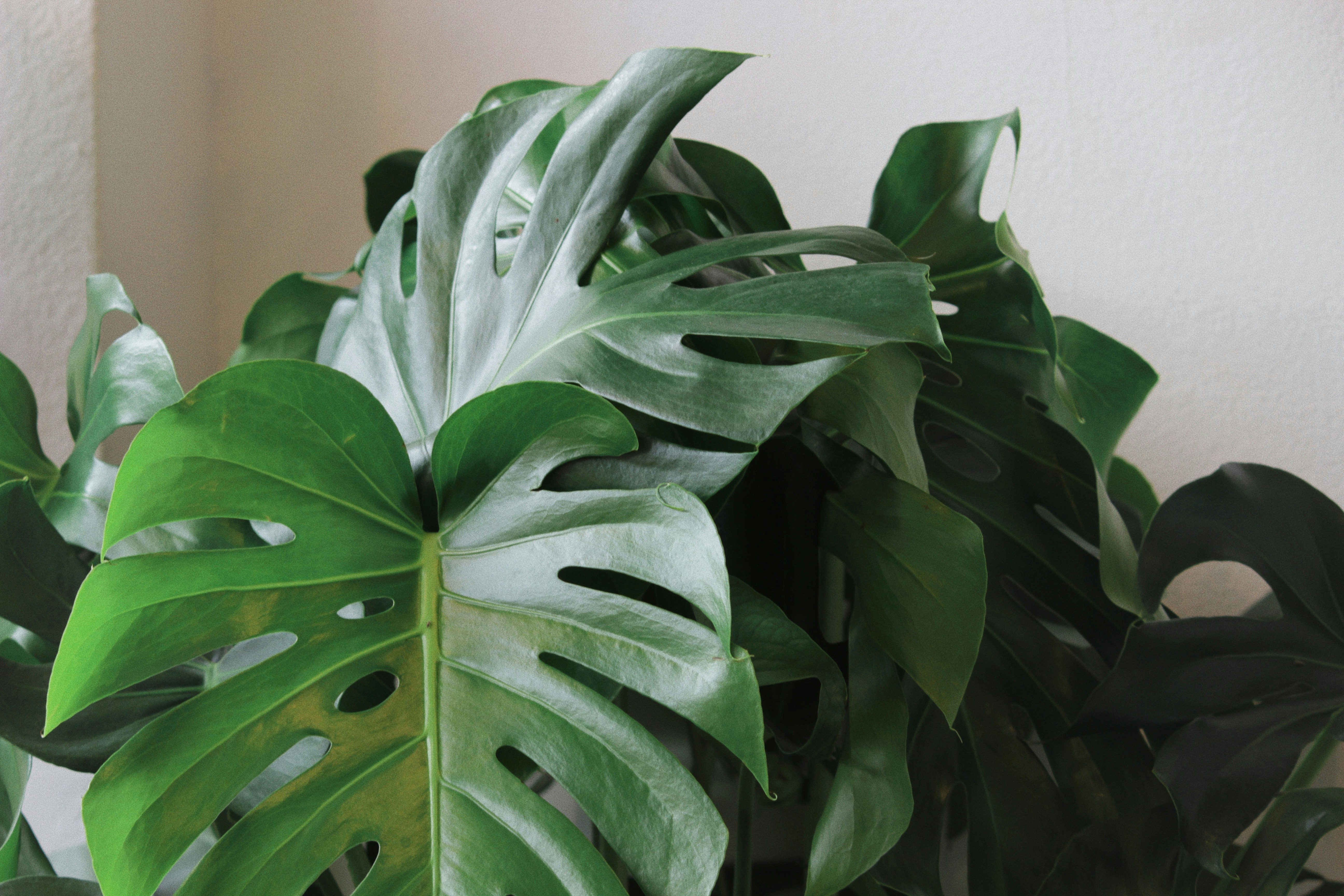 Photo by peyton23perdue