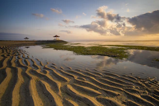 body of water under cloudy sky during daytime