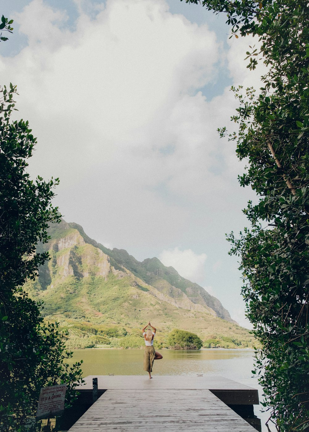 person standing on green grass field near body of water during daytime