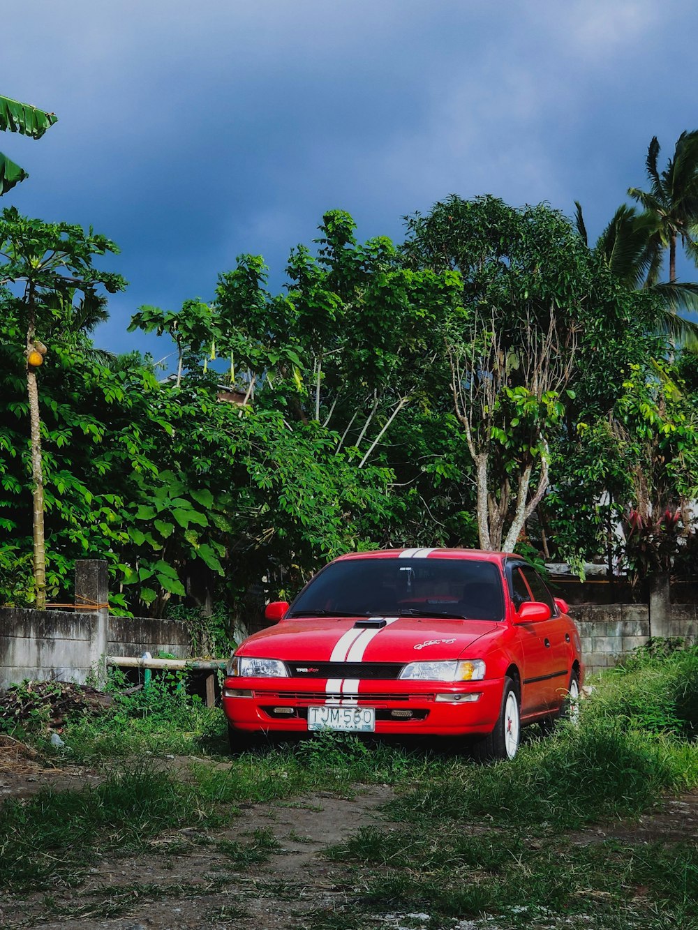 red car parked near green trees during daytime