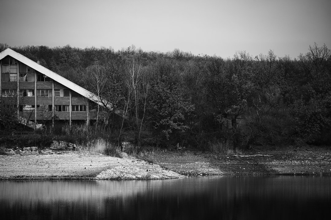 grayscale photo of house near river