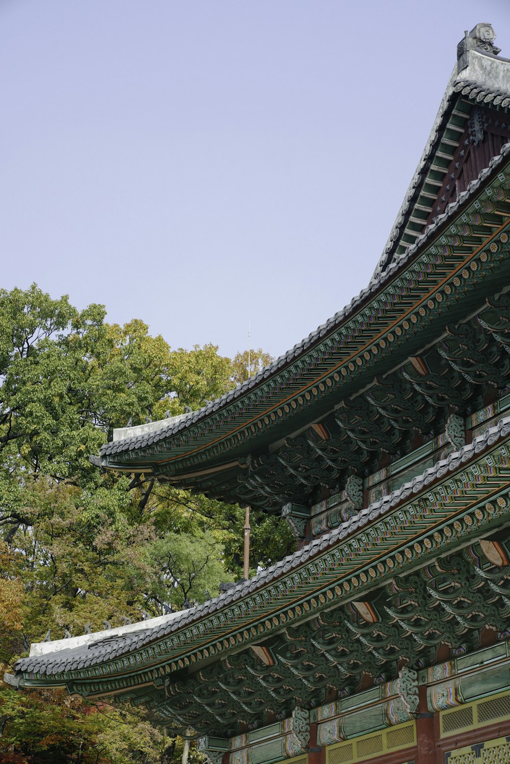 red and brown temple surrounded by trees during daytime