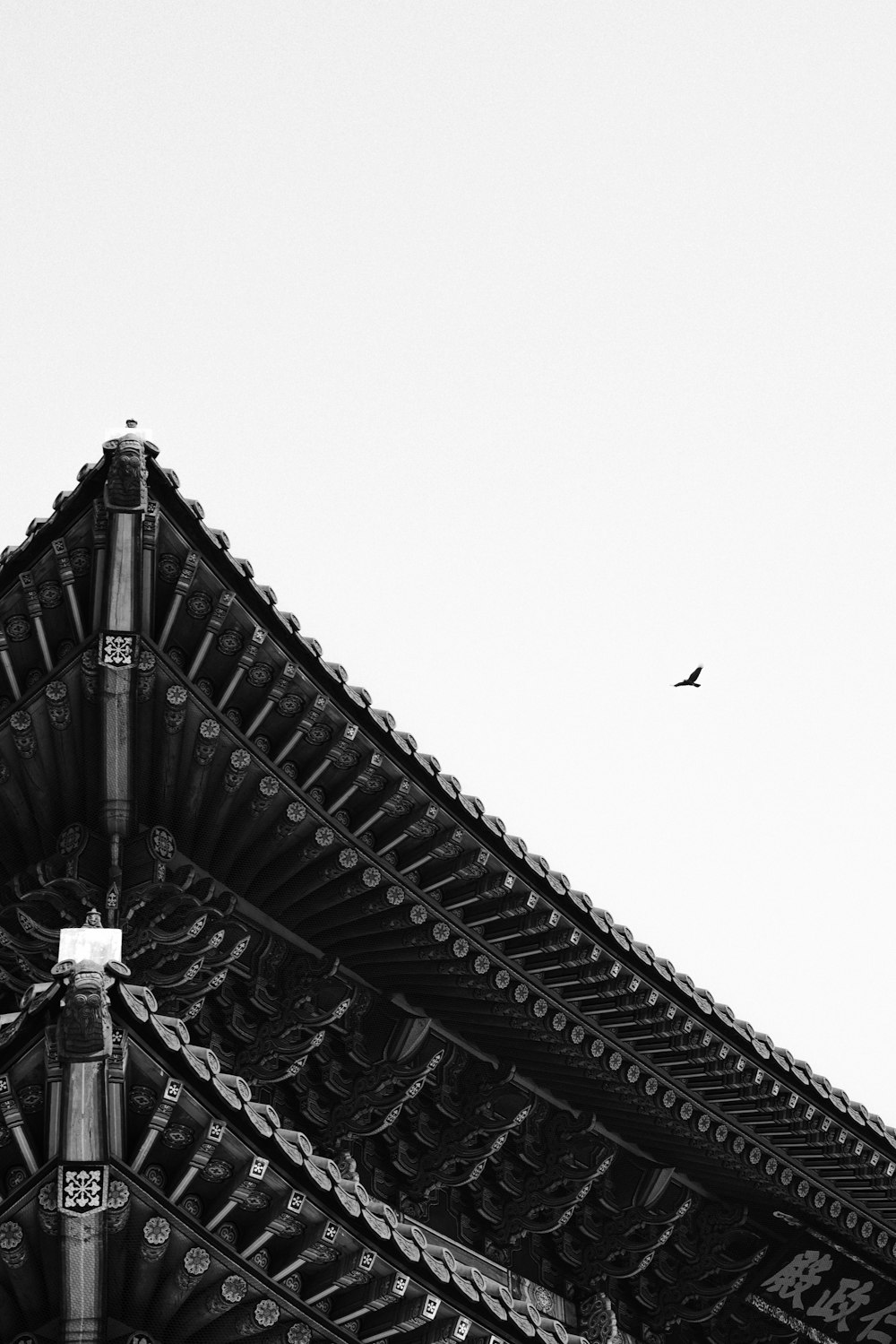 grayscale photo of birds flying over the building