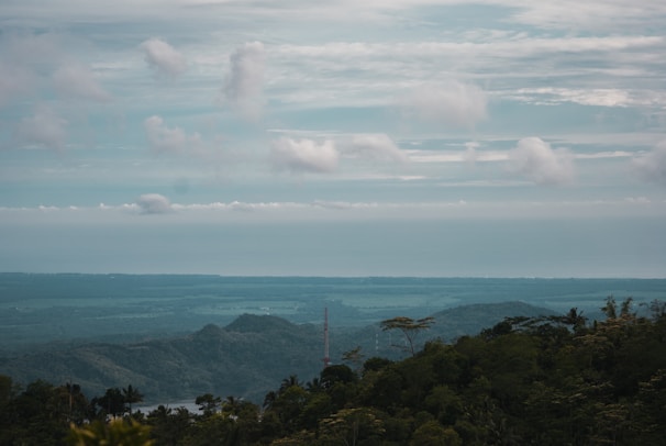 A scenic view of an environmental monitoring site using wardsquest.