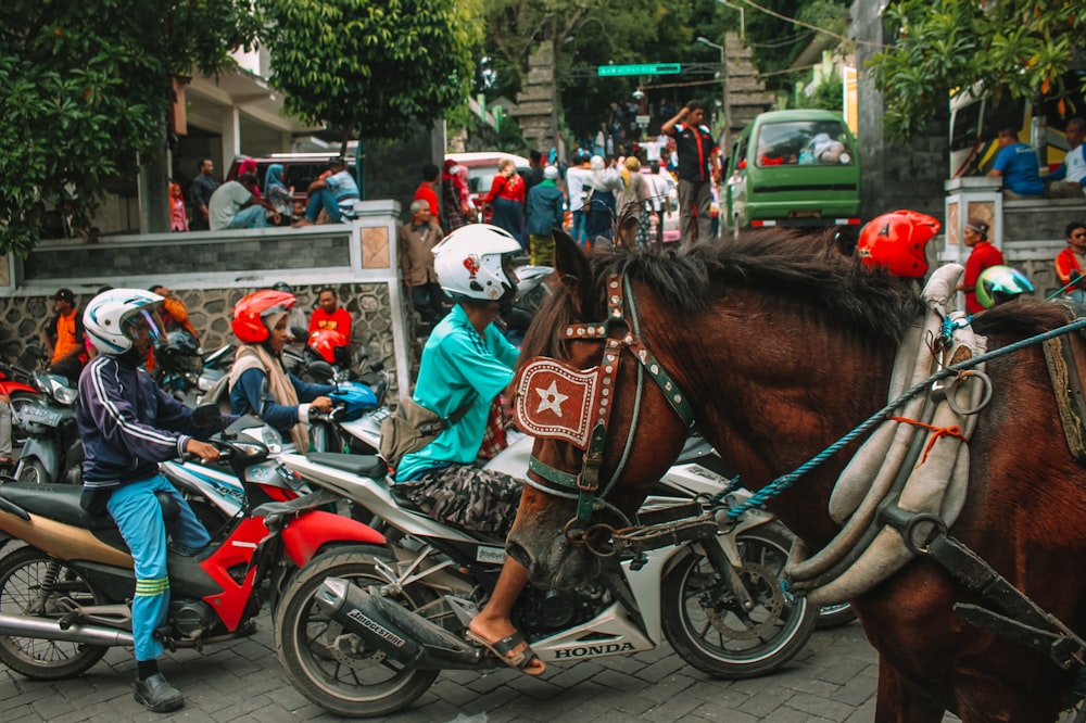 people riding horses on street during daytime