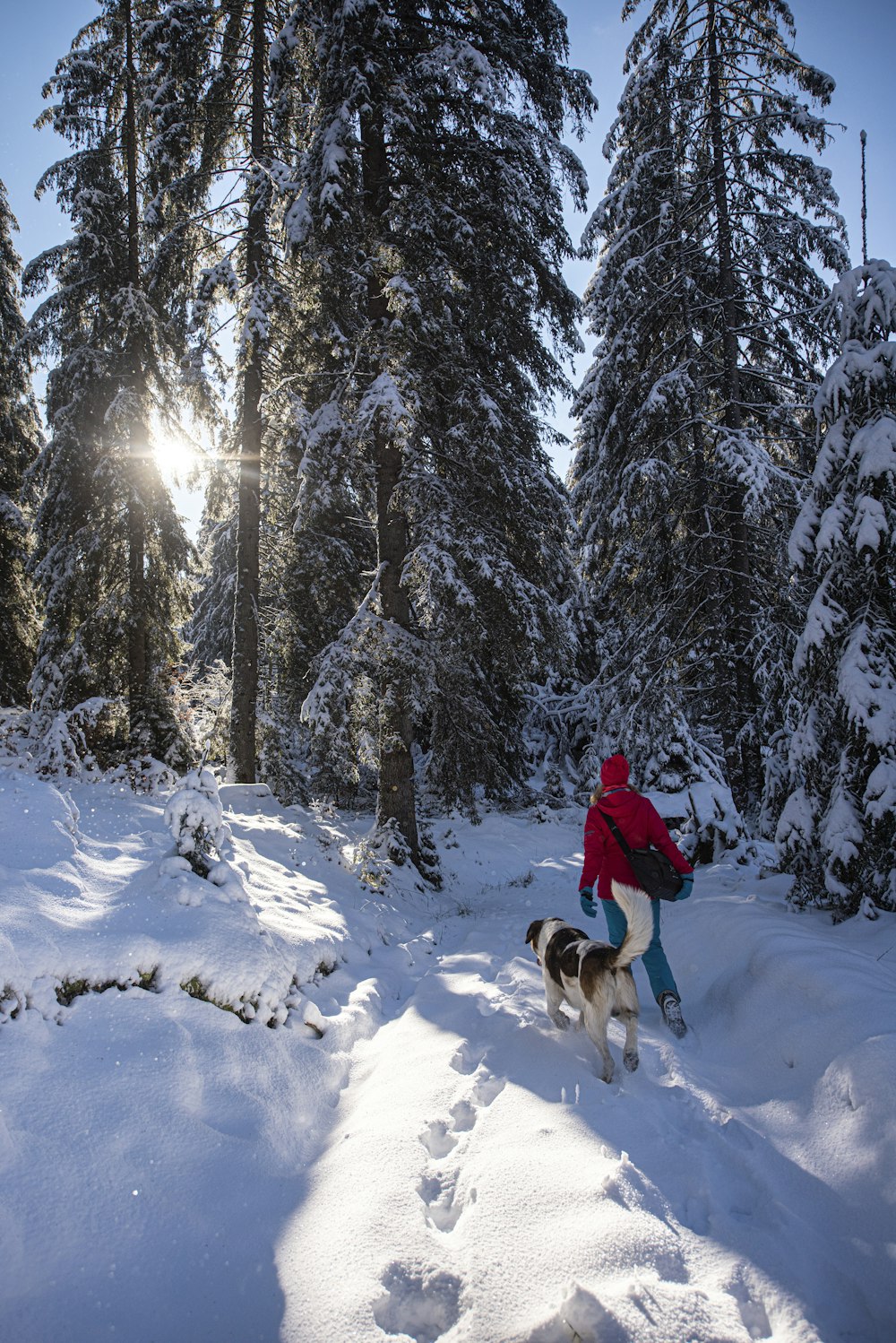 man in red jacket and black pants standing on snow covered ground near trees during daytime