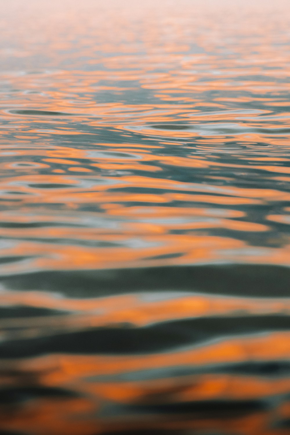 close up photo of water