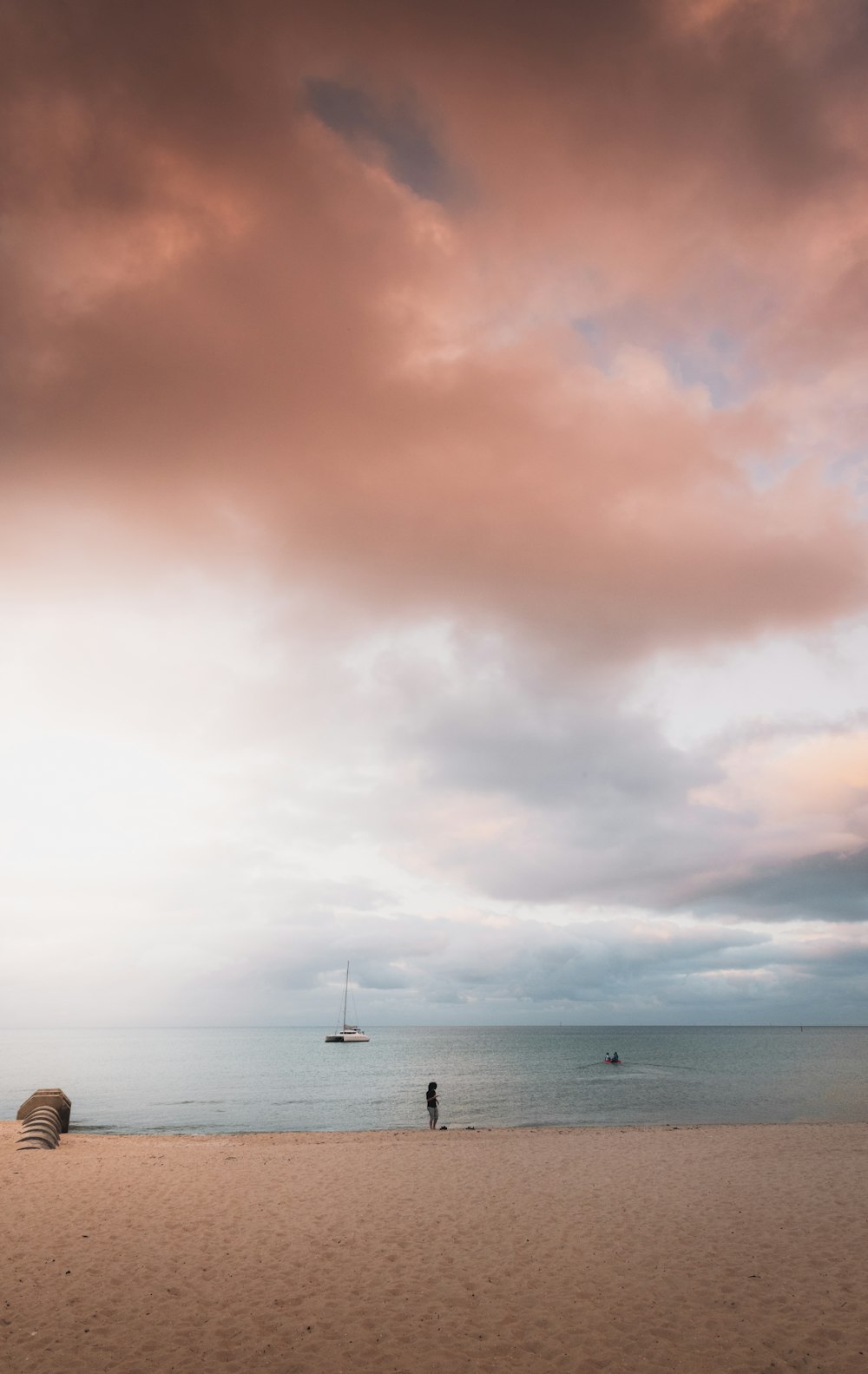 people on beach during daytime