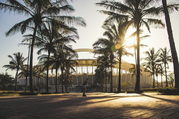 Palms against the sun — Durban, South Africa