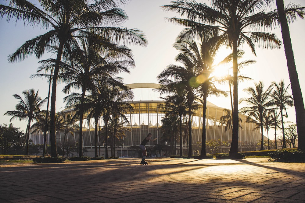 people walking on park during daytime