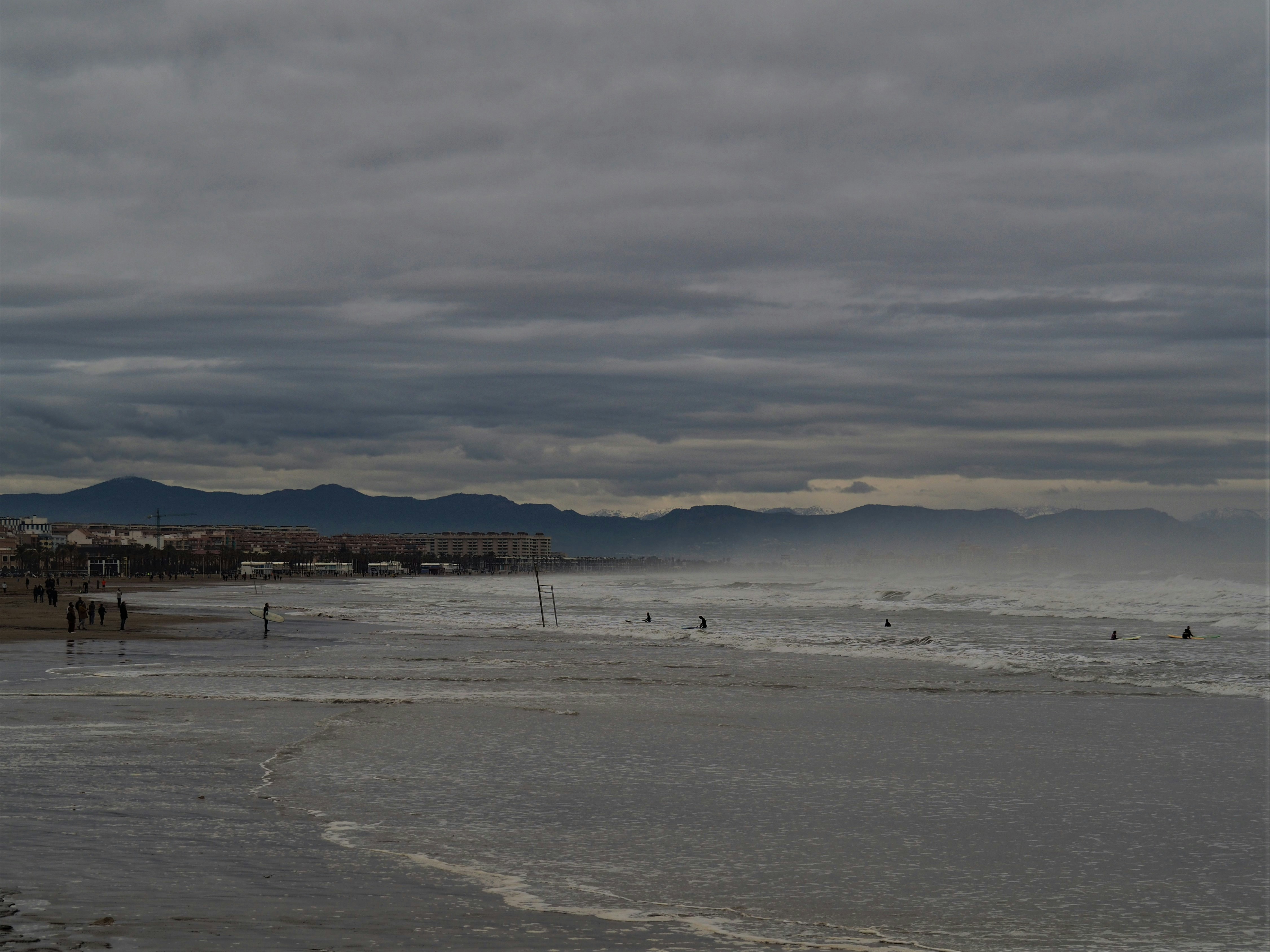 people on beach during daytime