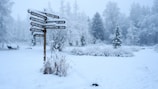brown wooden signage on snow covered ground