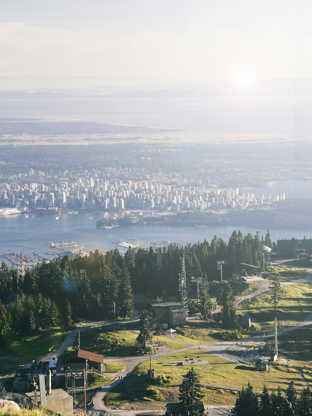 Vue aérienne d’arbres verts et de plans d’eau pendant la journée