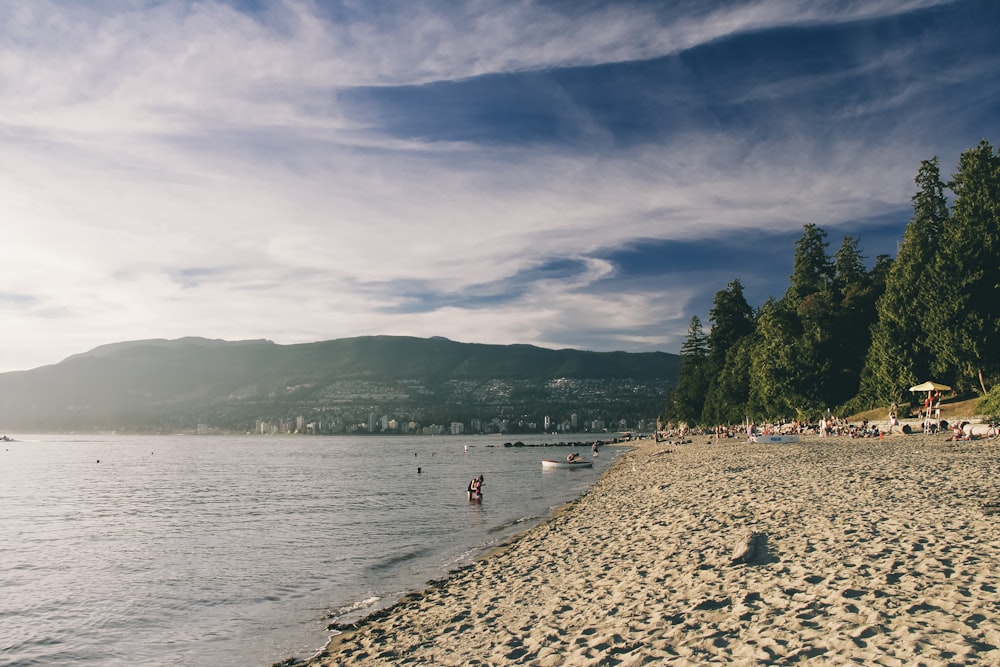 people on beach during daytime