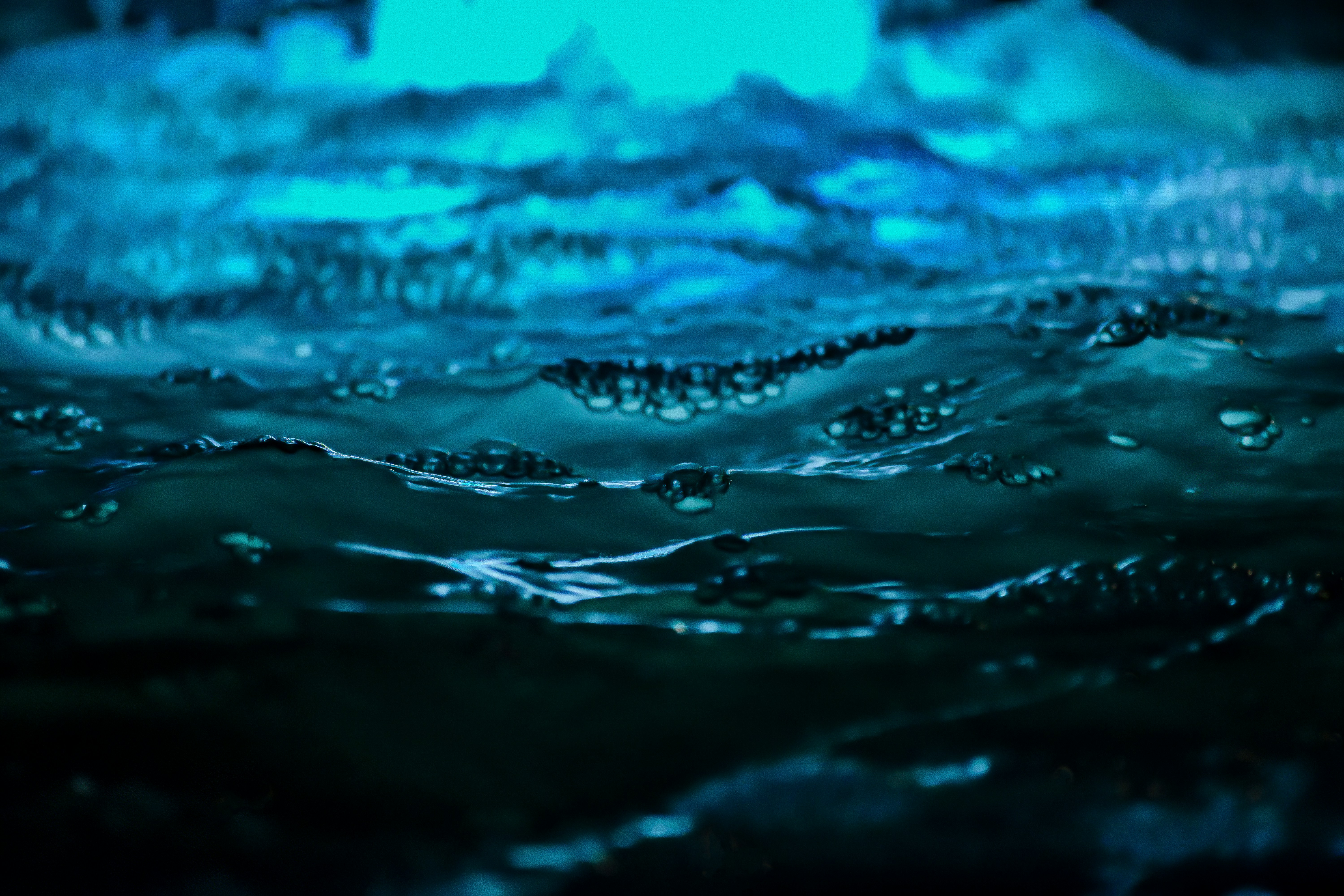 Photo by taylor_smith