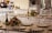 A beautifully arranged banquet hall with elegantly set tables featuring floral centerpieces and champagne bottles. The tables are adorned with white plates and neatly folded napkins. The setting appears ready for a formal event or celebration.