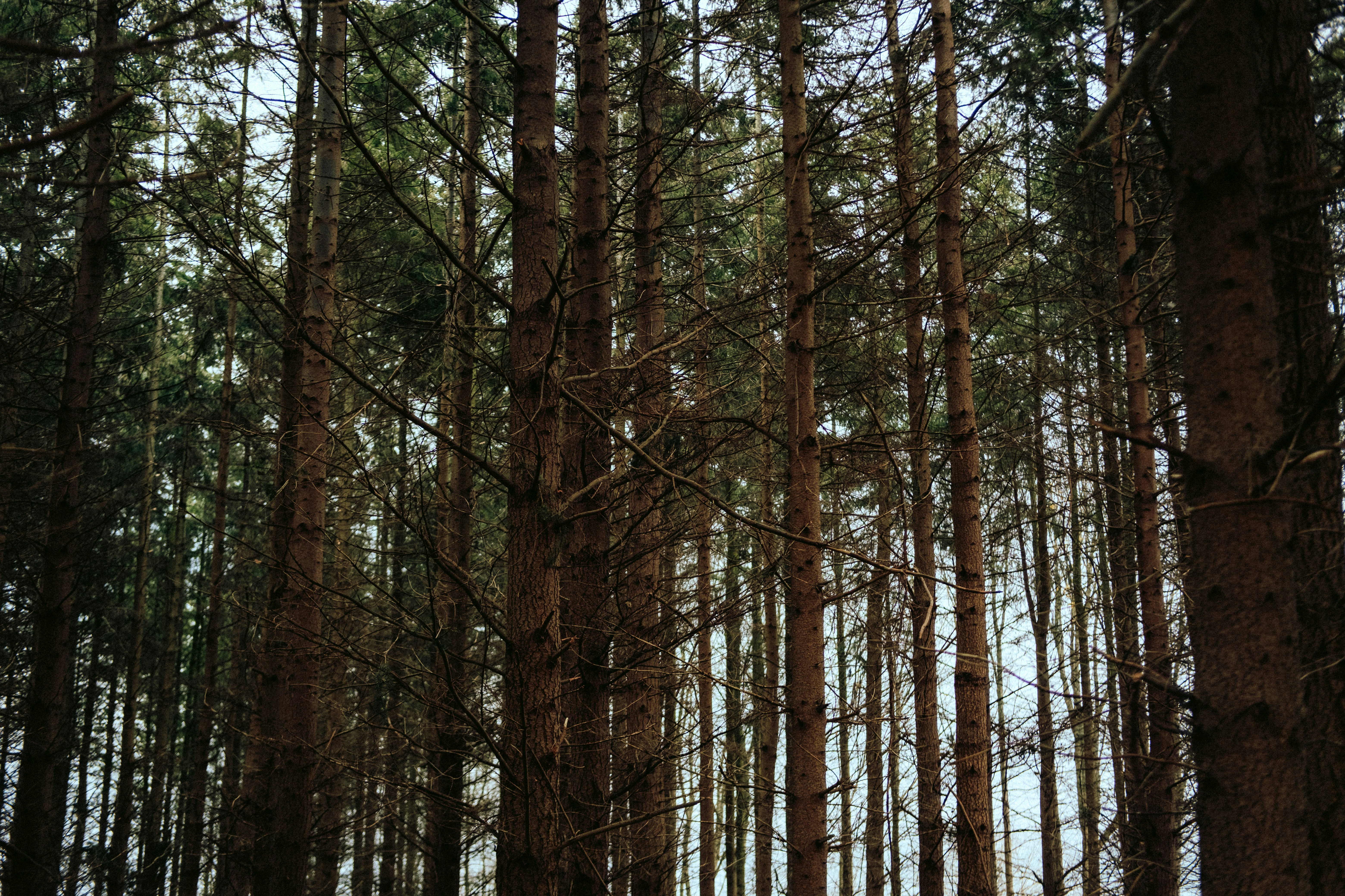 Photo by maybejensen