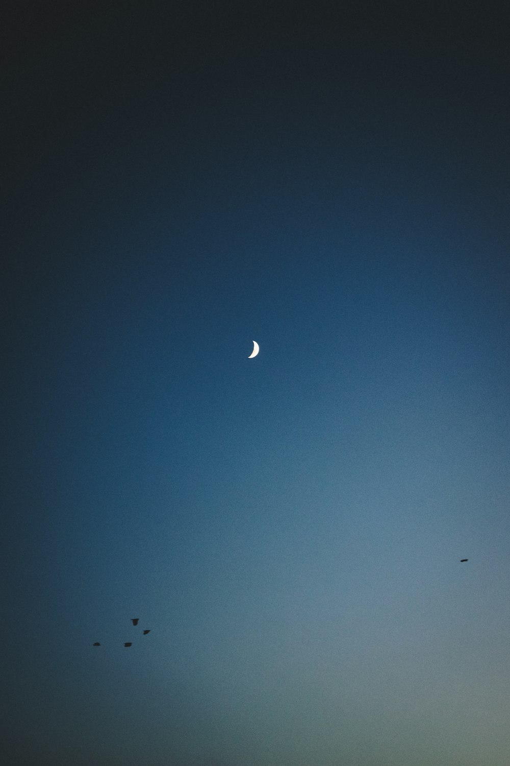 white airplane flying in the sky during night time