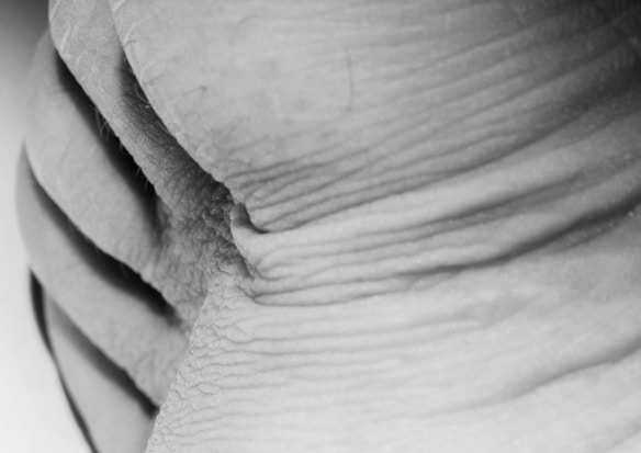 A close-up view of wrinkled skin with a focus on its texture and folds. The monochromatic tones emphasize the intricate details and natural lines present.