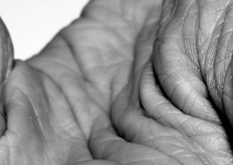 Close-up black and white image of wrinkles and folds in skin, showcasing intricate textures and patterns.