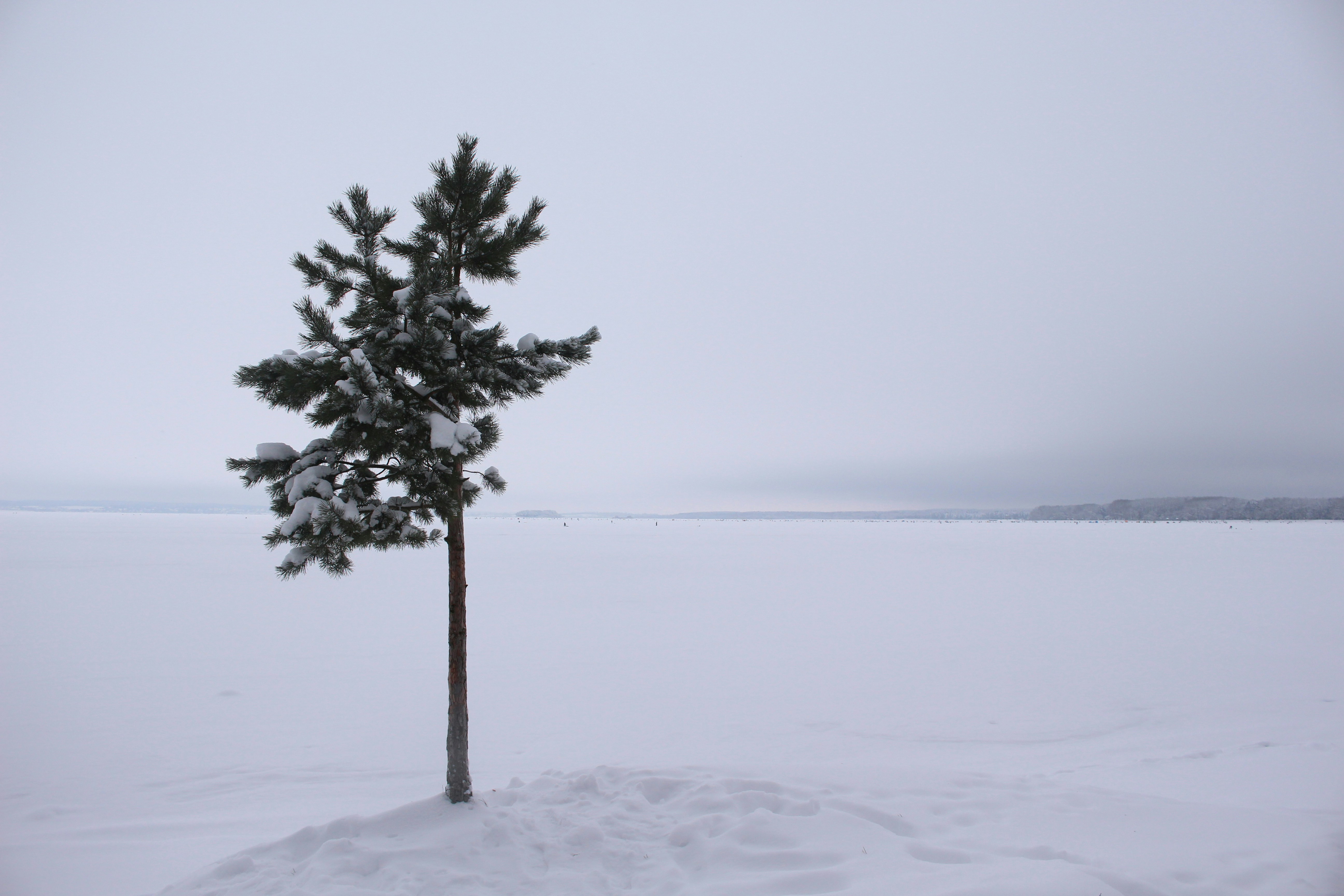 Photo by zhyharhanna