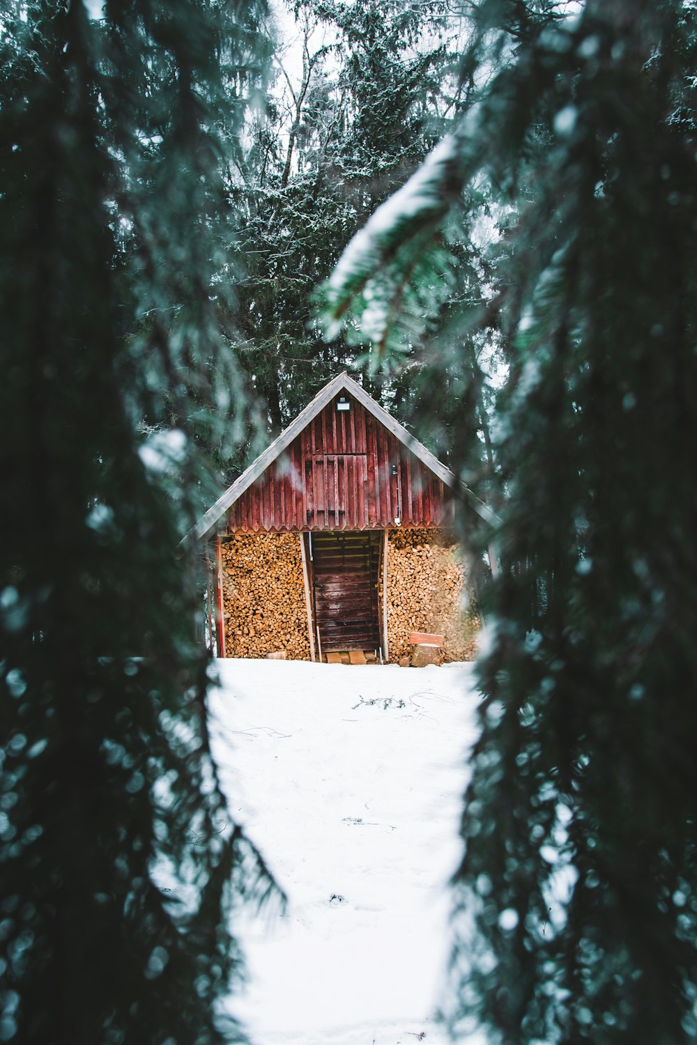 brown wooden house in the middle of snow covered forest