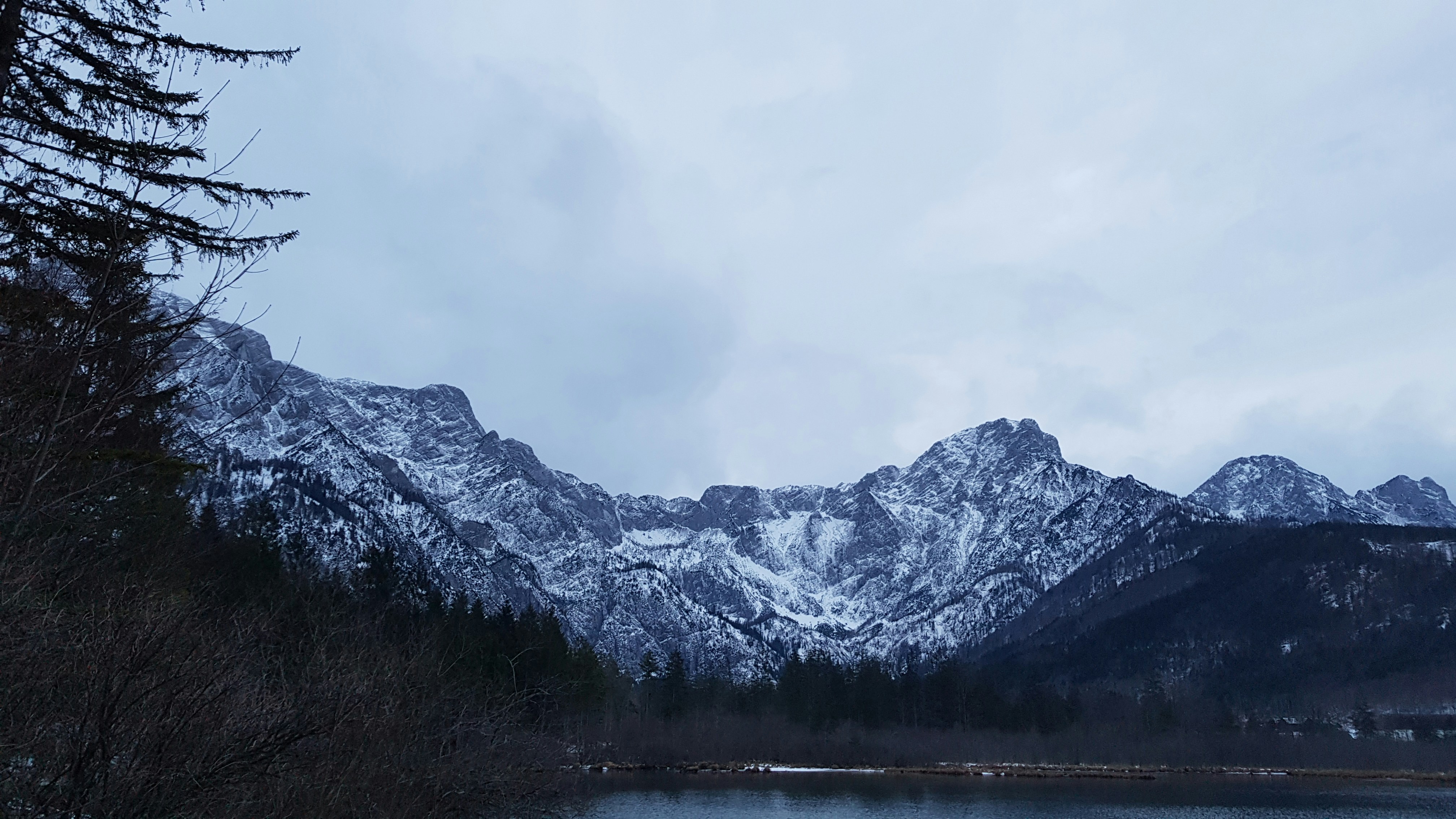 Photo by norbert_jakab55