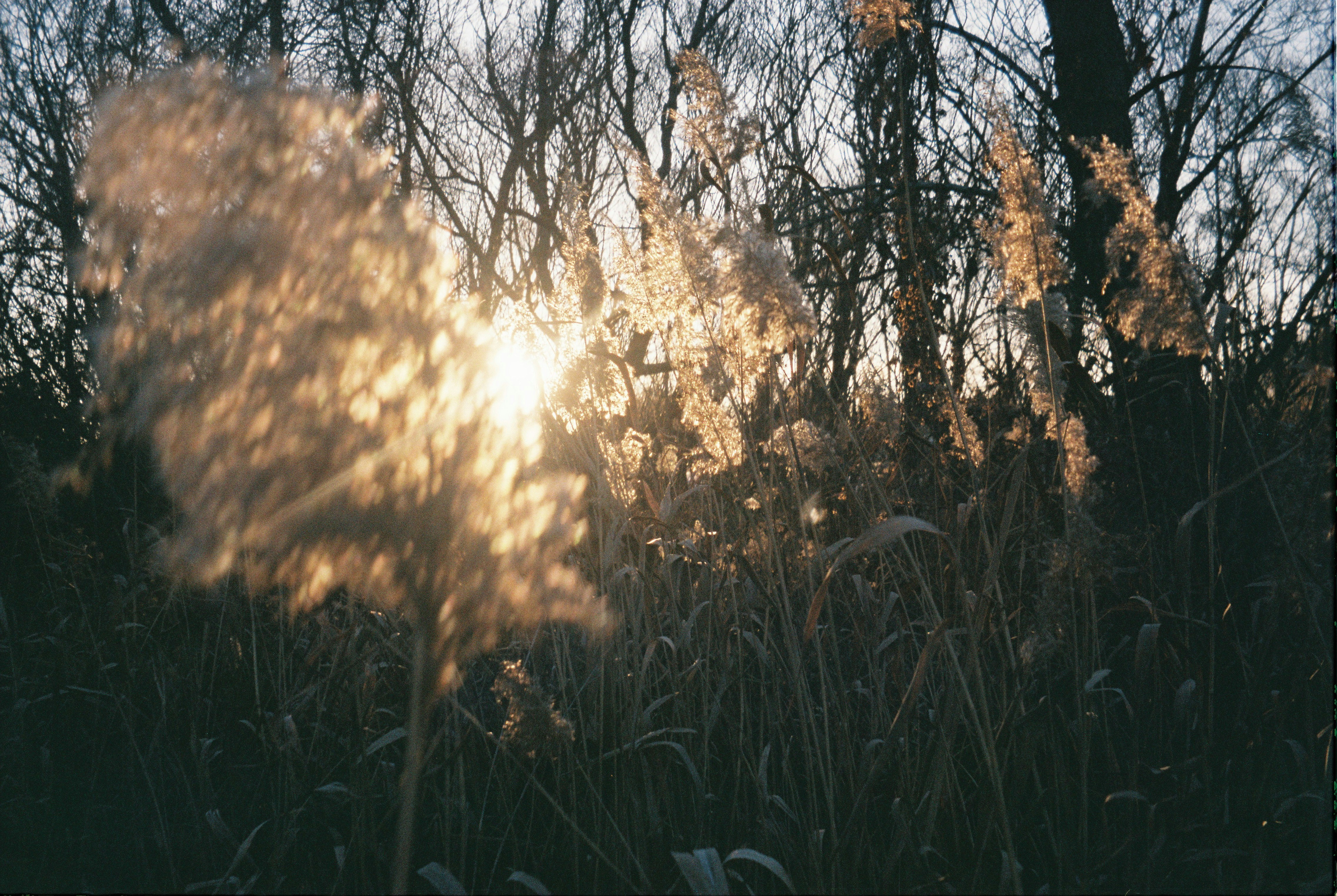 Photo by ddddddarya