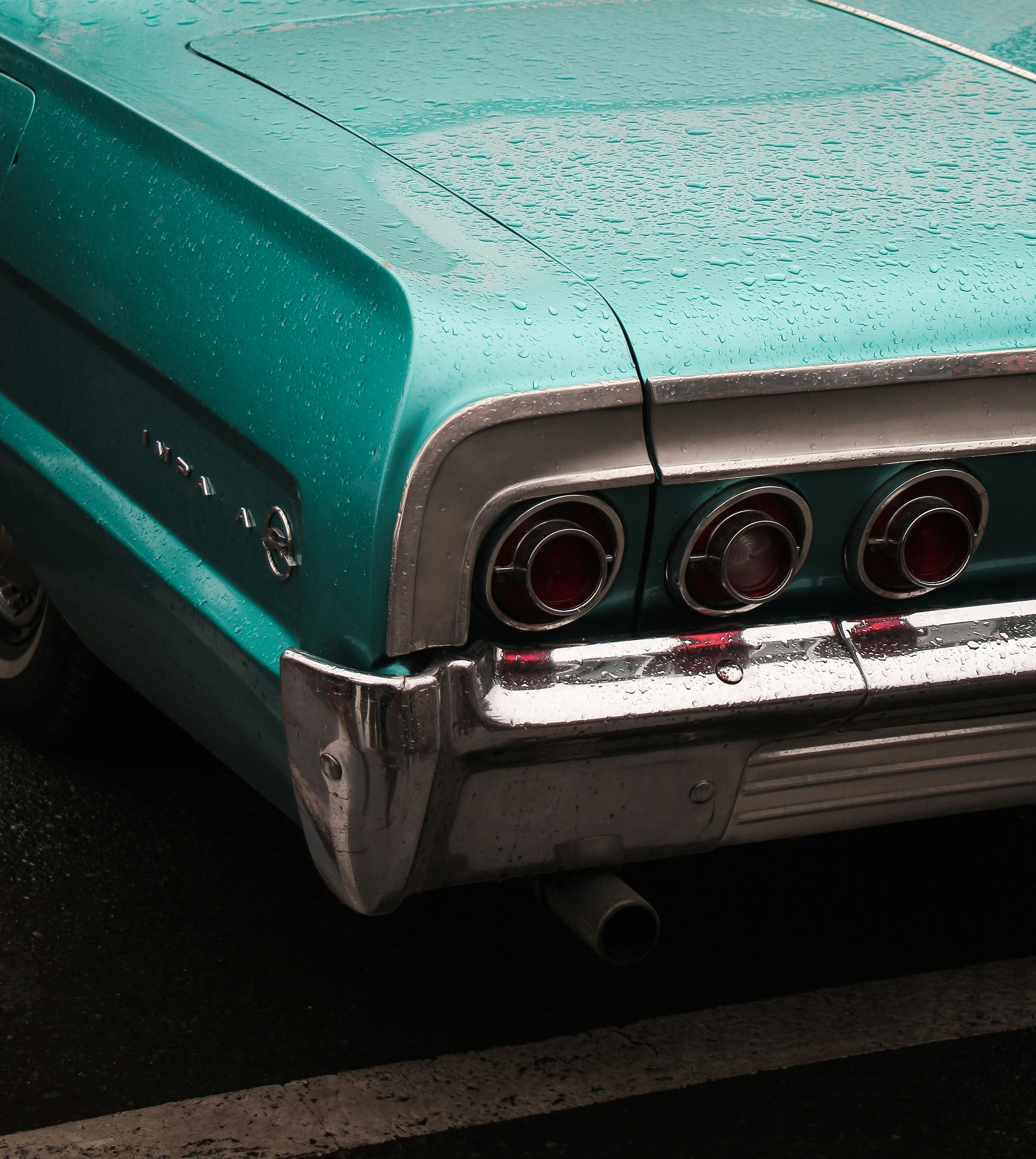 Photo by reza_delkhosh_