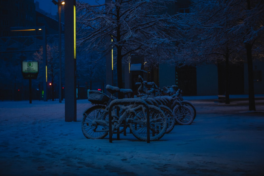 black bicycle parked beside bare tree during night time