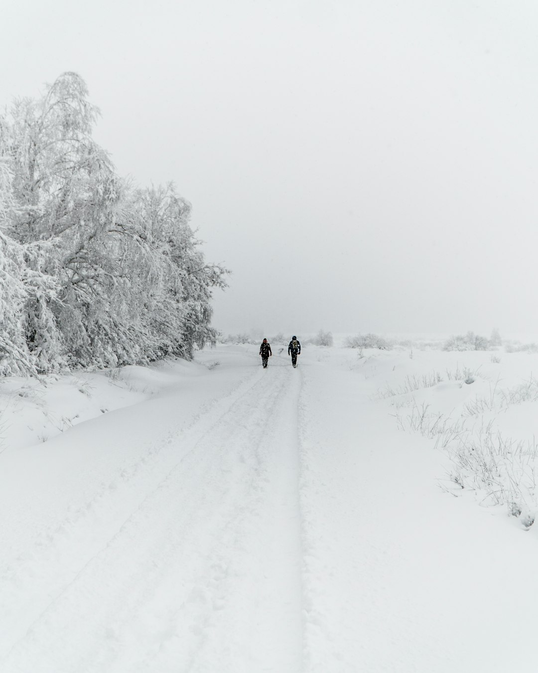 2 people walking on snow covered field during daytime