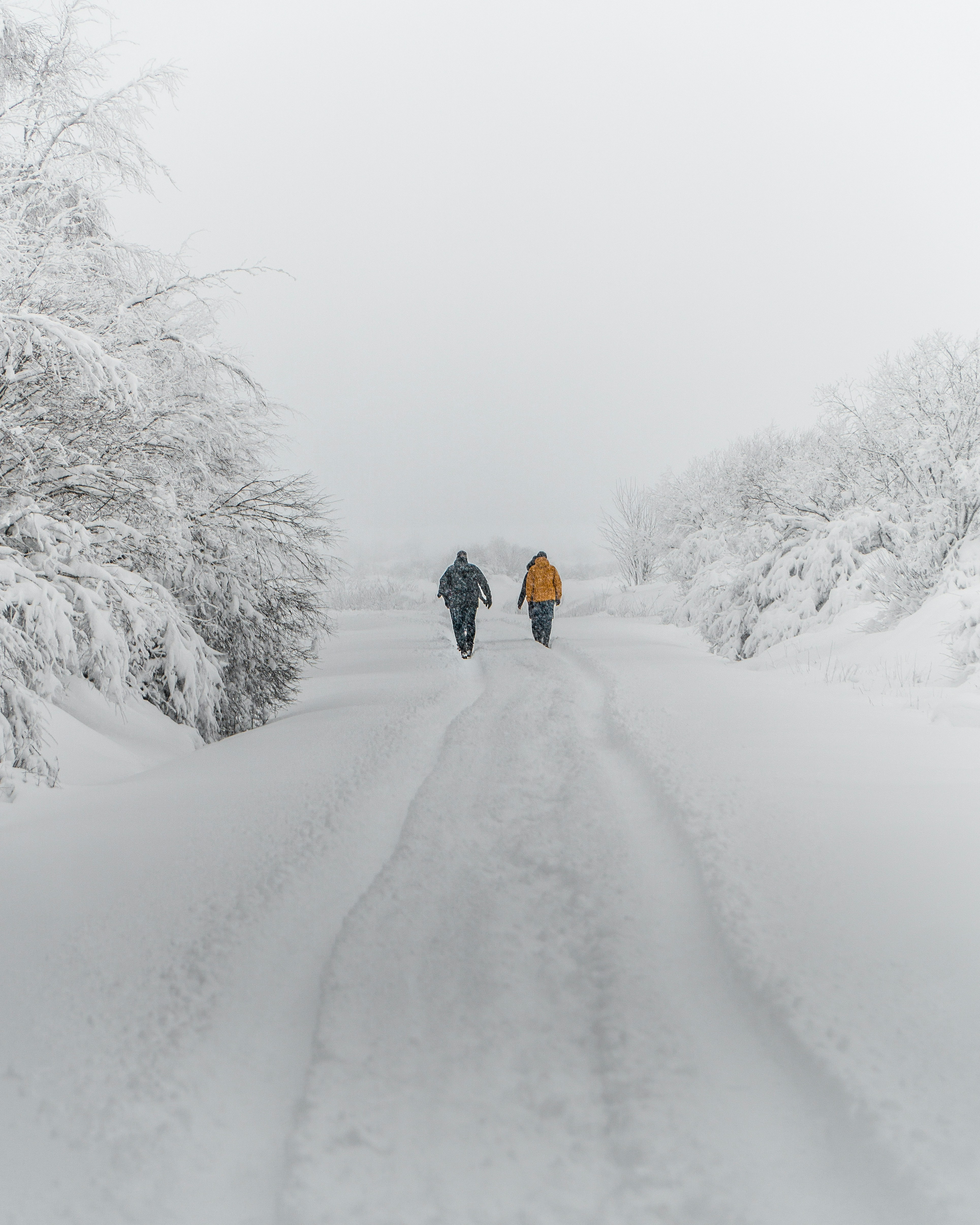 person in black jacket and brown pants walking on snow covered pathway during daytime