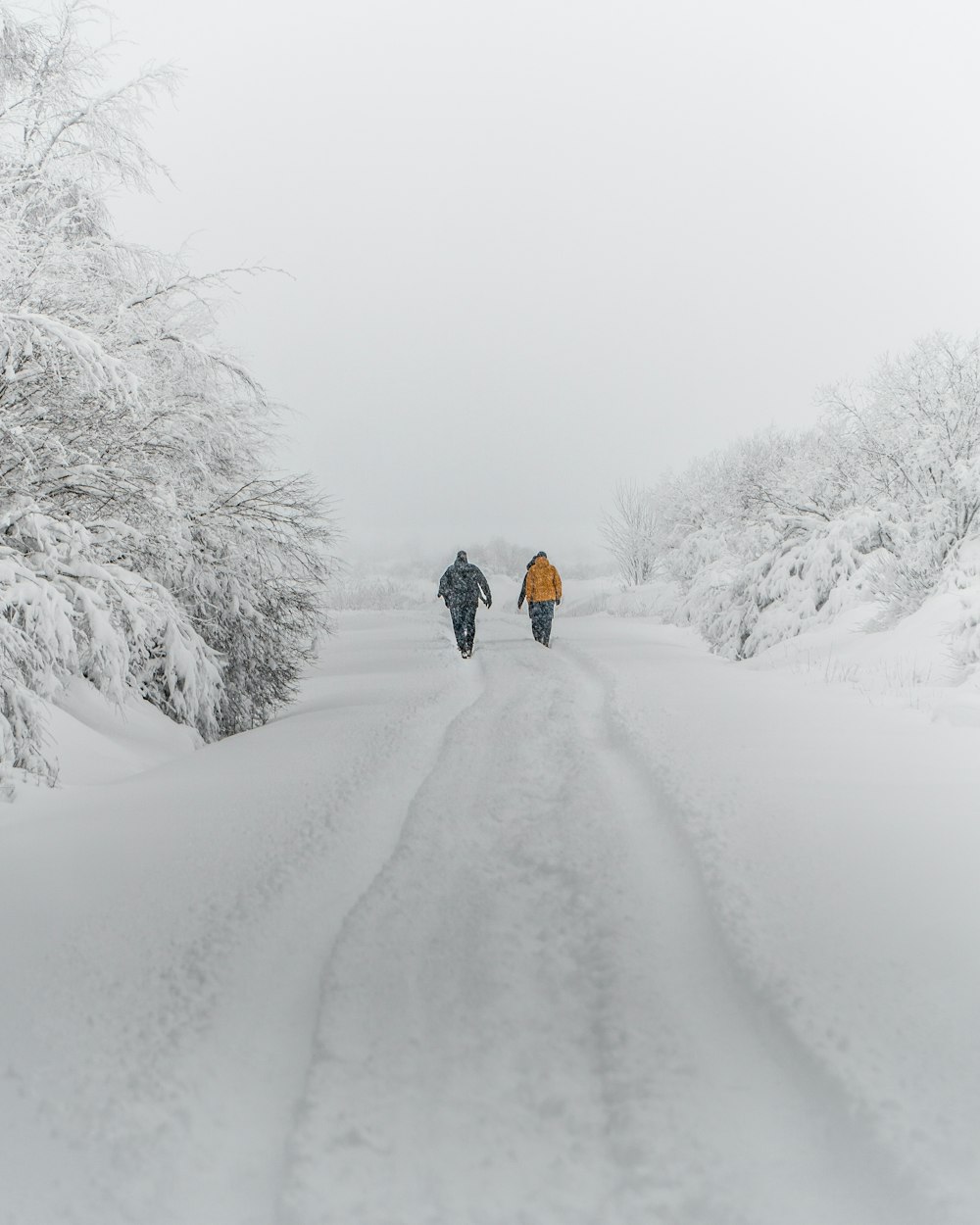 pessoa em jaqueta preta e calças marrons andando no caminho coberto de neve durante o dia