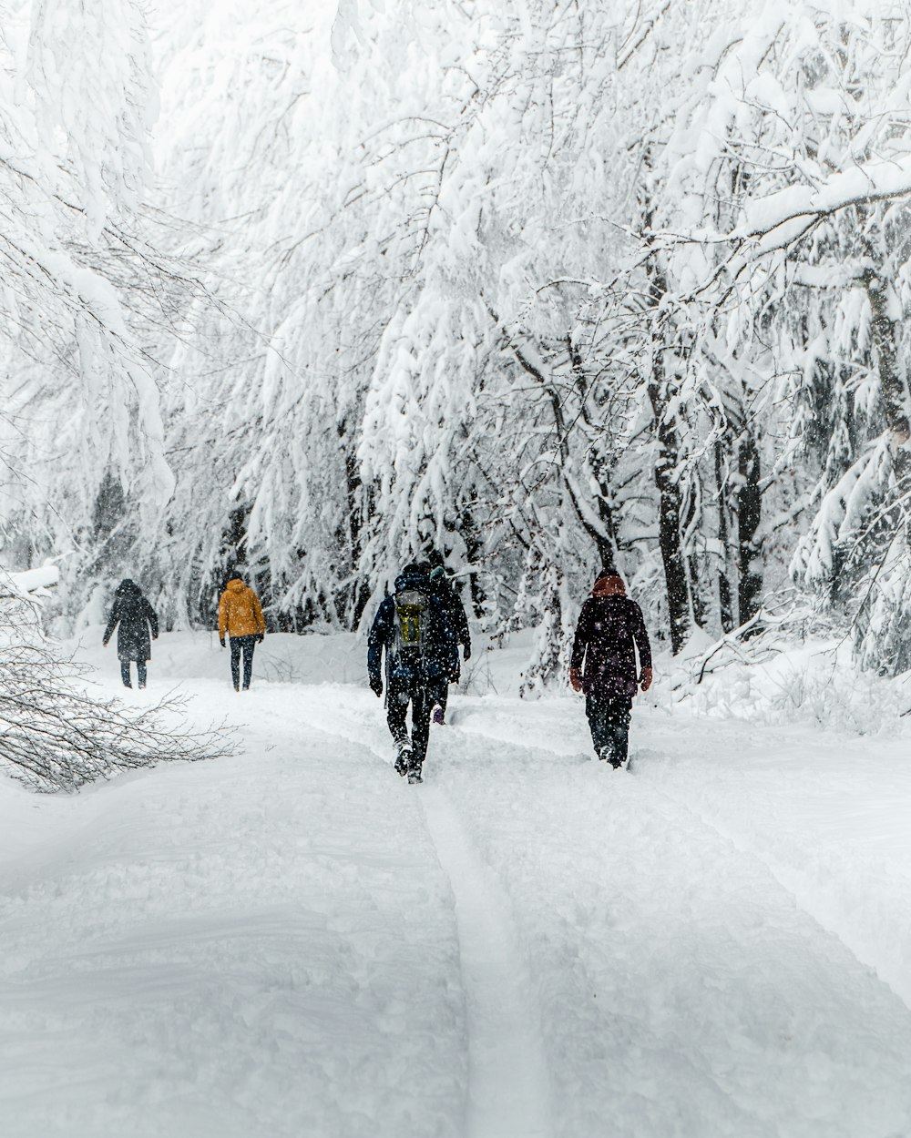 people walking on snow covered ground during daytime