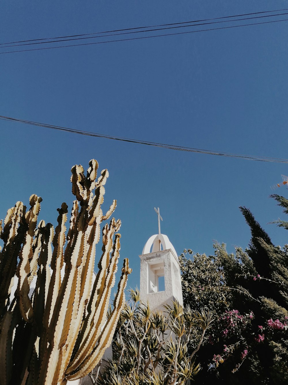 white concrete building near brown trees under blue sky during daytime