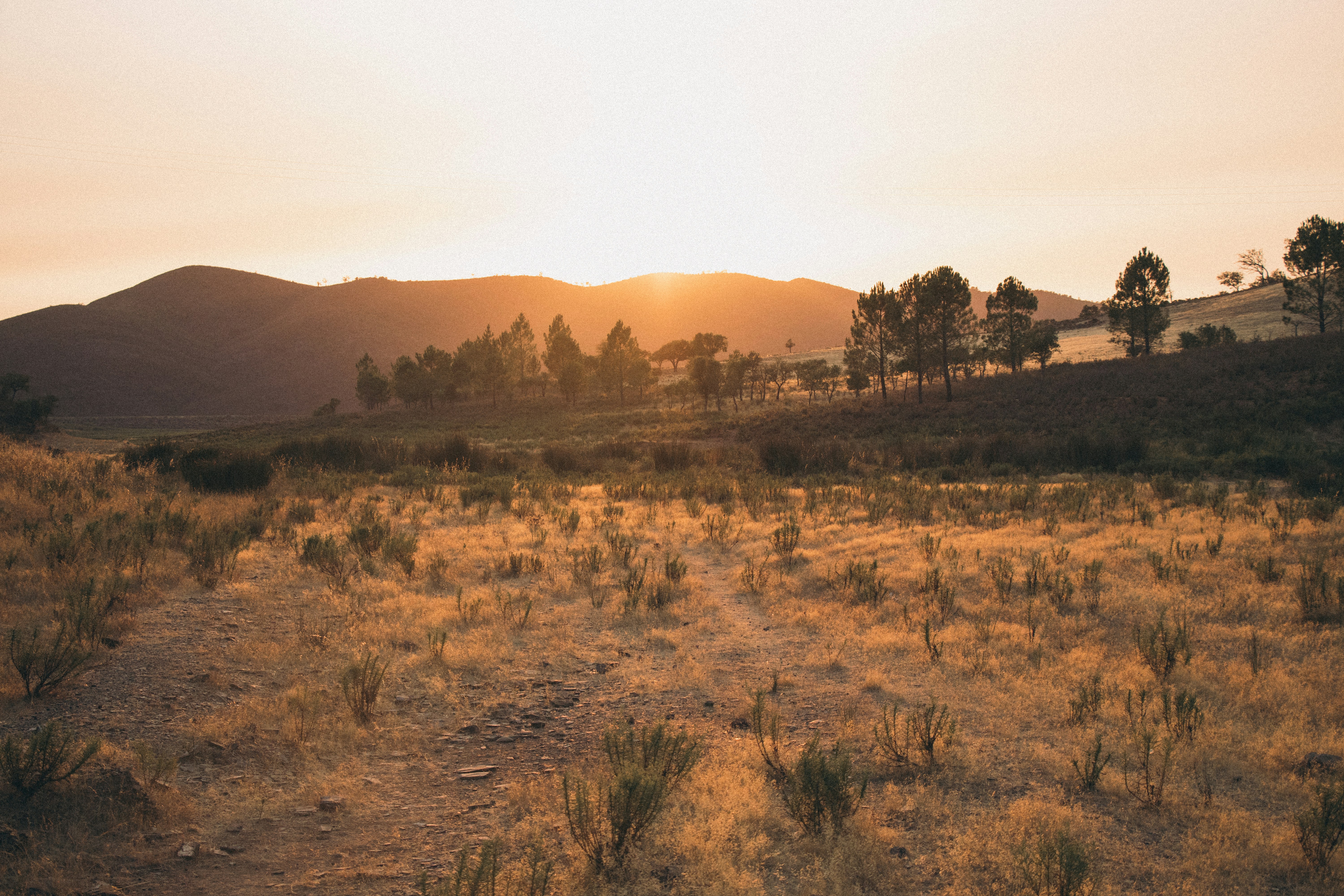 Photo by lucswildens