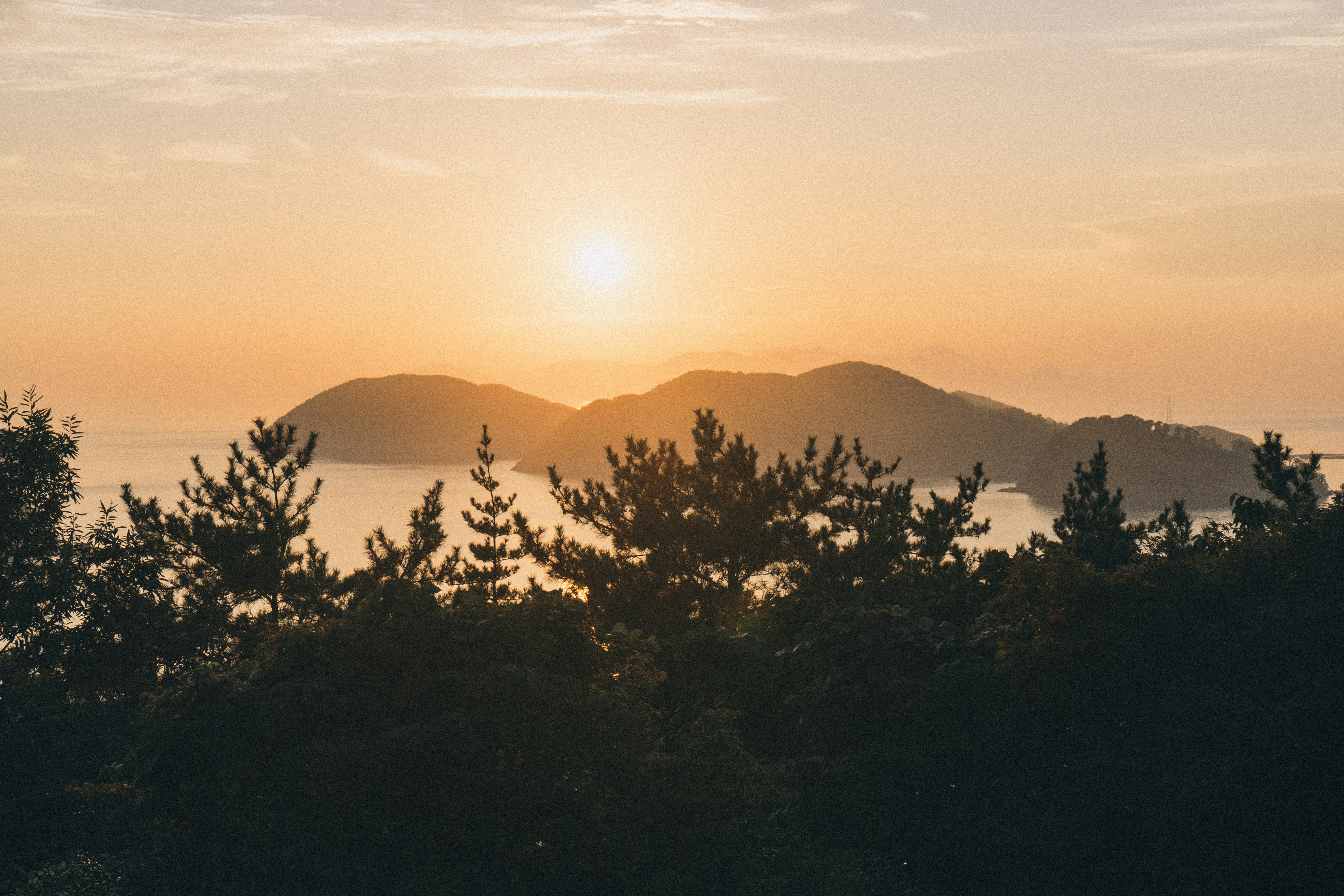 Photo by lucswildens