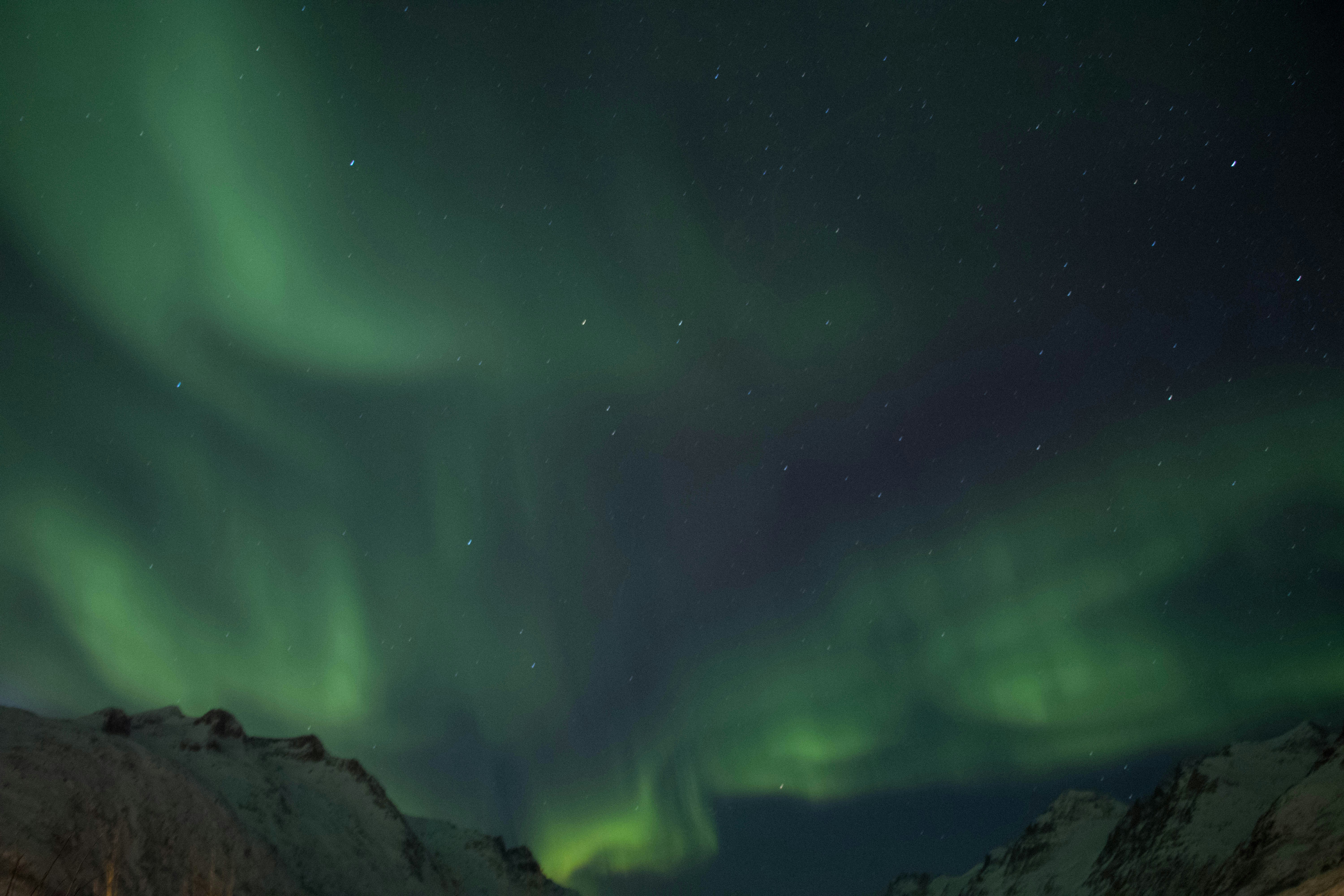 Photo by lucswildens