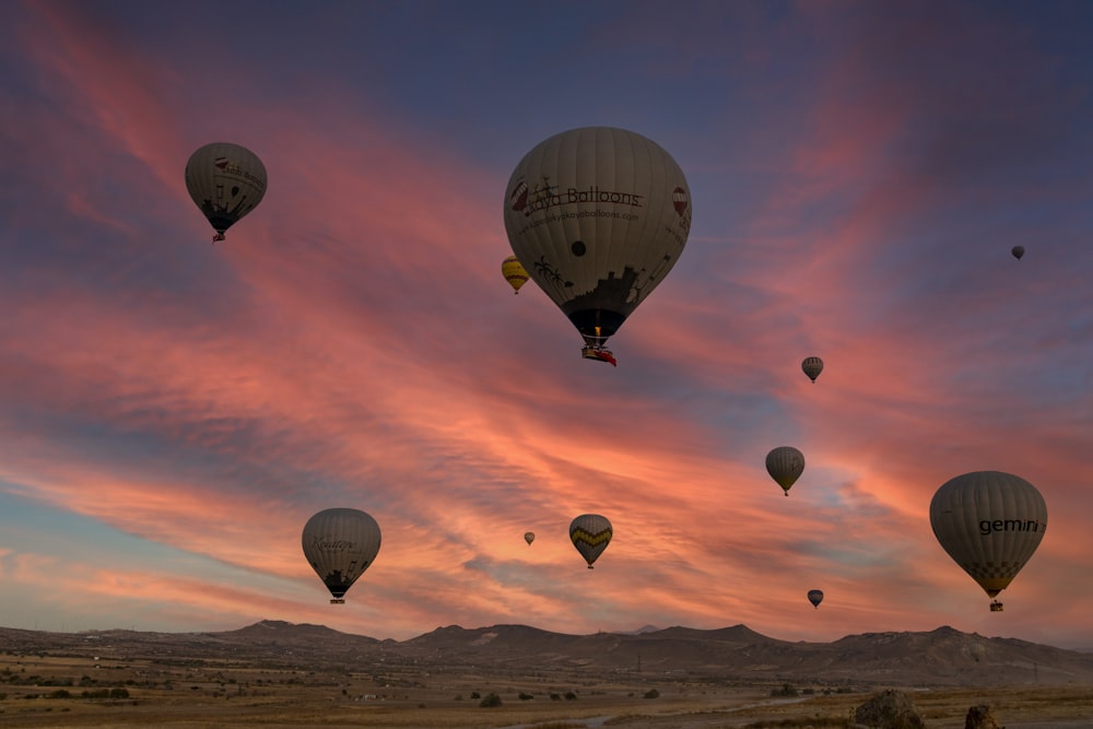 hot air balloons in the sky during daytime