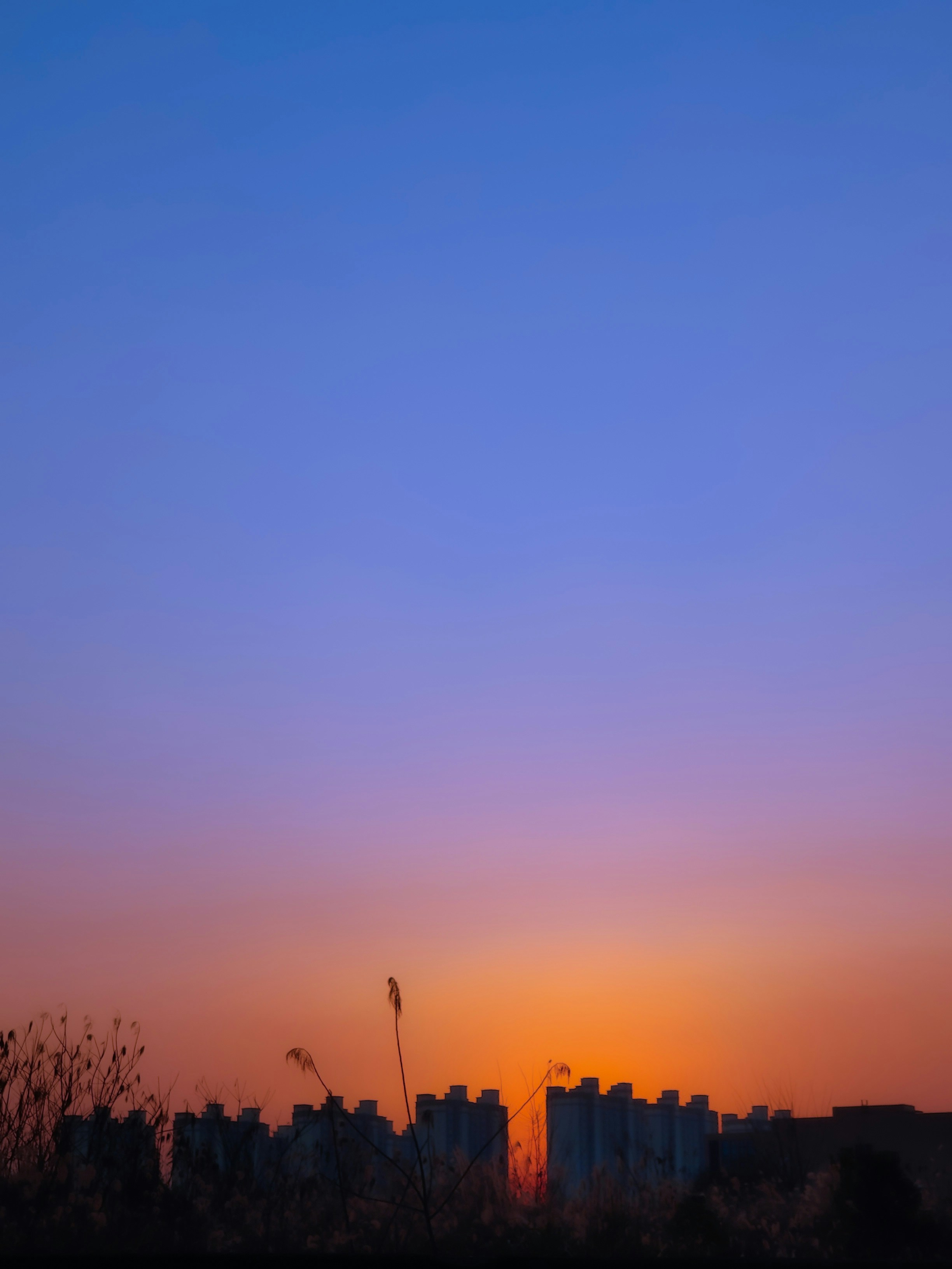 Photo by xiexianghua