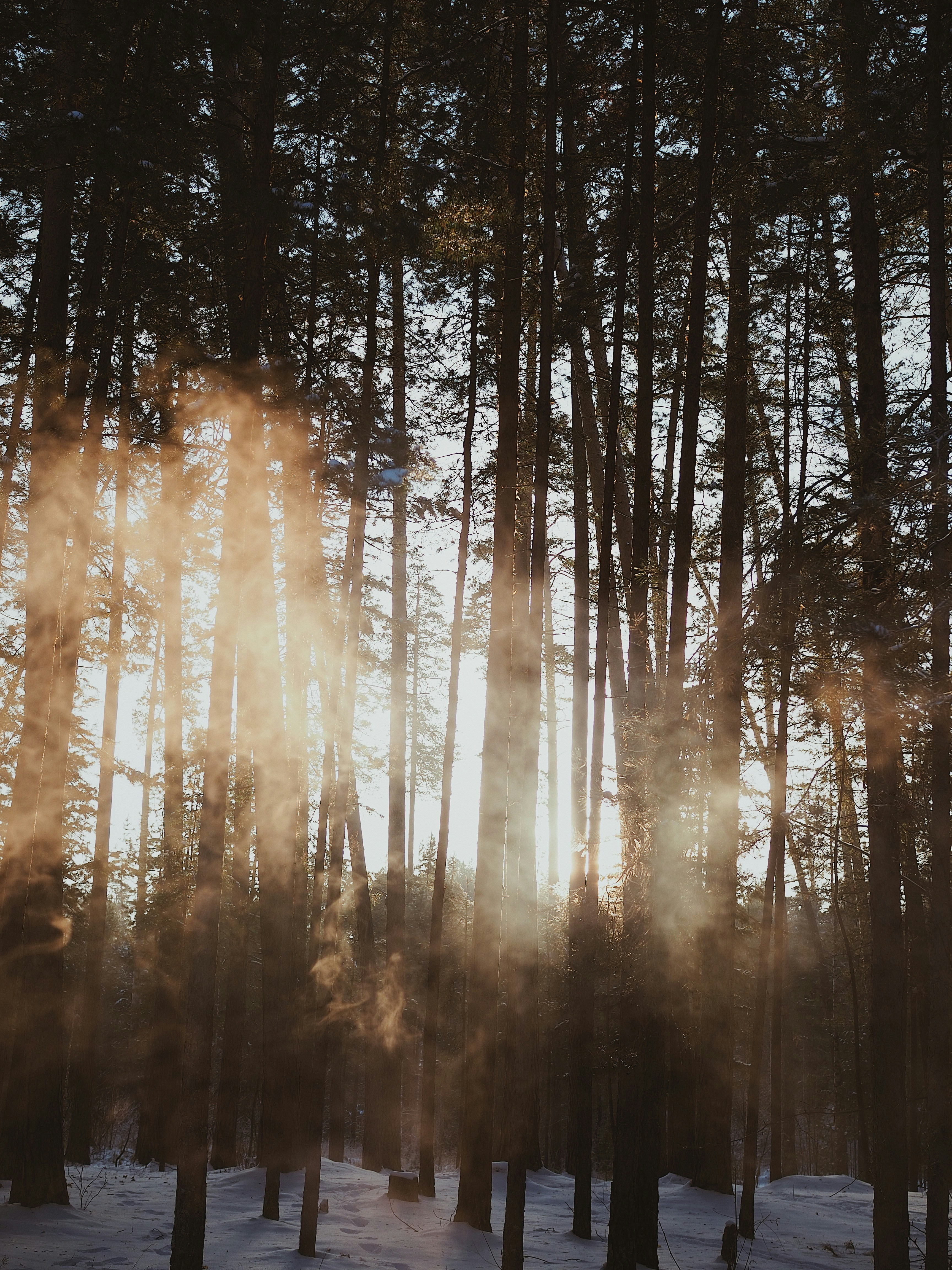 Photo by gingerdarya