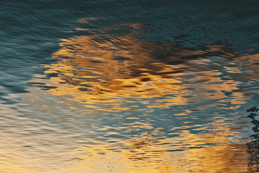 body of water during daytime