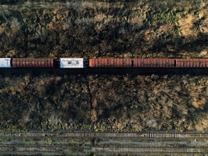red and white wooden train rail