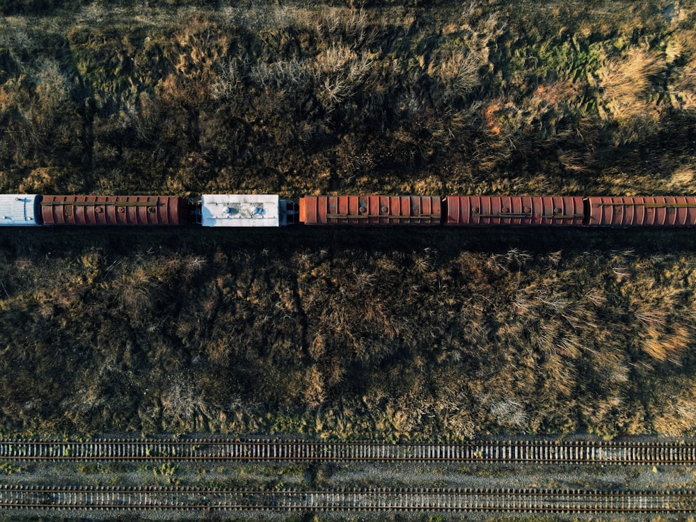 red and white wooden train rail