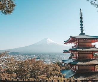 brown and white temple near body of water during daytime