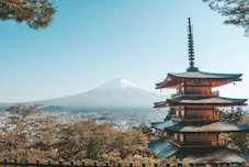 Mt. Fuji