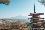 brown and white temple near body of water during daytime