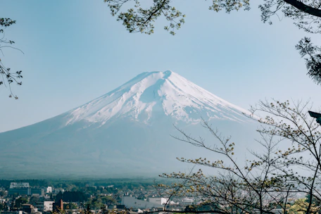 Mount Fuji rising above a town in Fujinomiya, Japan, framed by tree branches