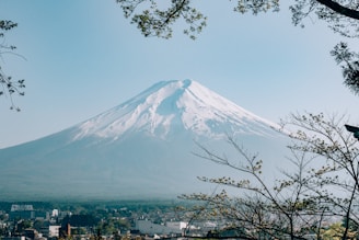 A majestic snow-capped mountain stands under a clear blue sky, framed by tree branches with sparse leaves. Below the mountain, a cityscape is visible with various buildings. The scene conveys a blend of natural beauty and urban development.