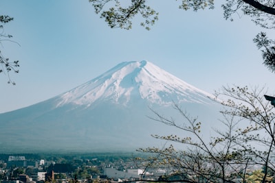 A majestic snow-capped mountain stands under a clear blue sky, framed by tree branches with sparse leaves. Below the mountain, a cityscape is visible with various buildings. The scene conveys a blend of natural beauty and urban development.